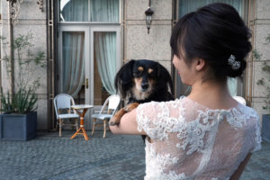 アニバーサリーアン恵比寿　ペットウエディング　新婦　愛犬